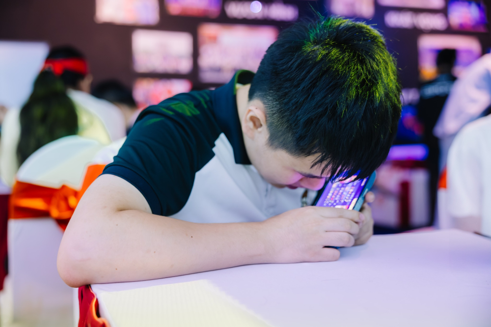 Para Esports Việt Nam 2025